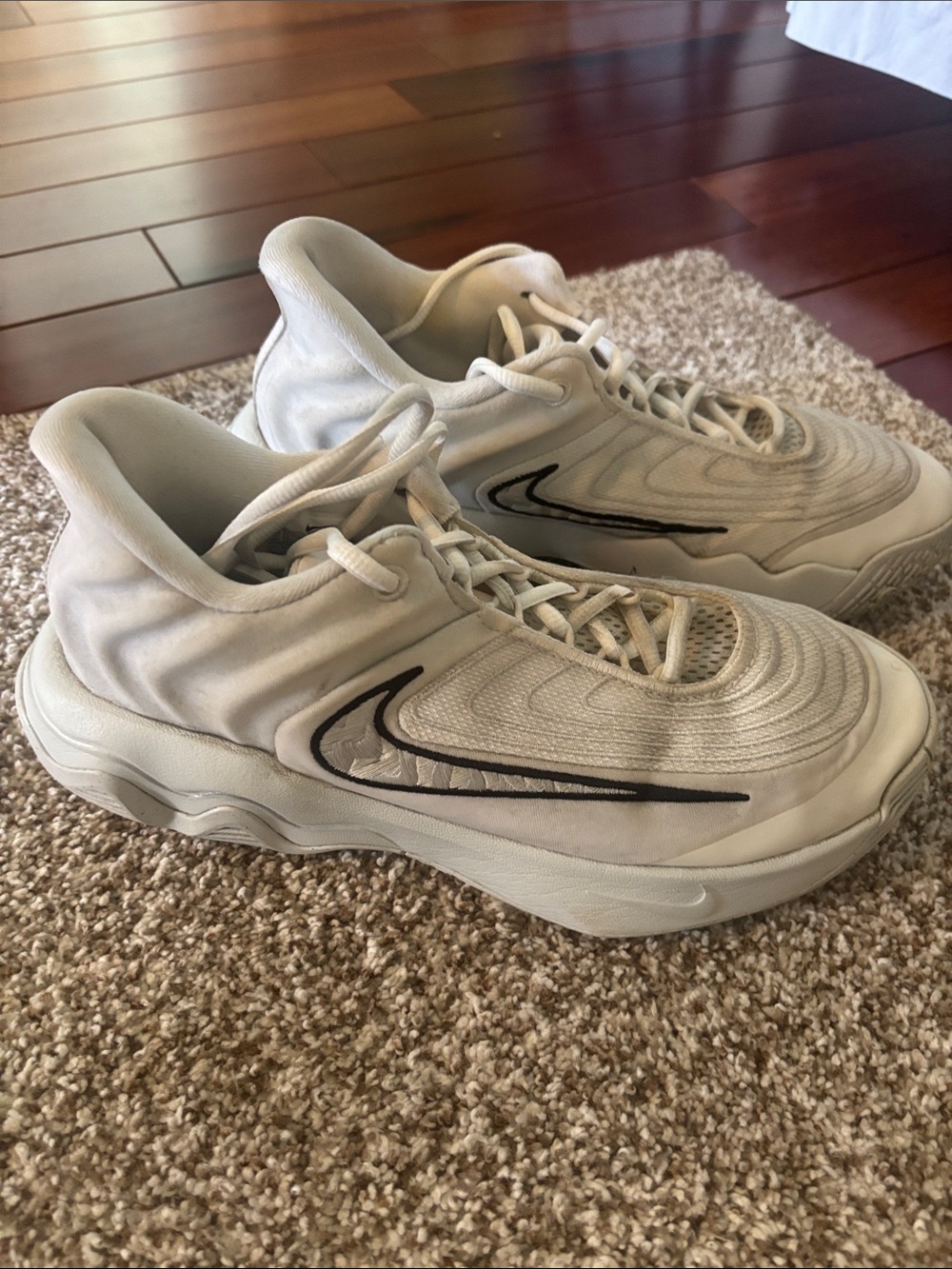 Nike White and Black Swoosh Low-Top Sneakers